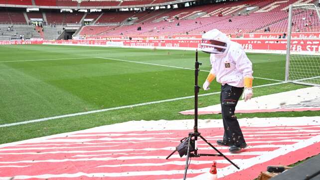 Feuerwehr fängt vor VfB-Spiel Bienenschwarm im Stadion ein